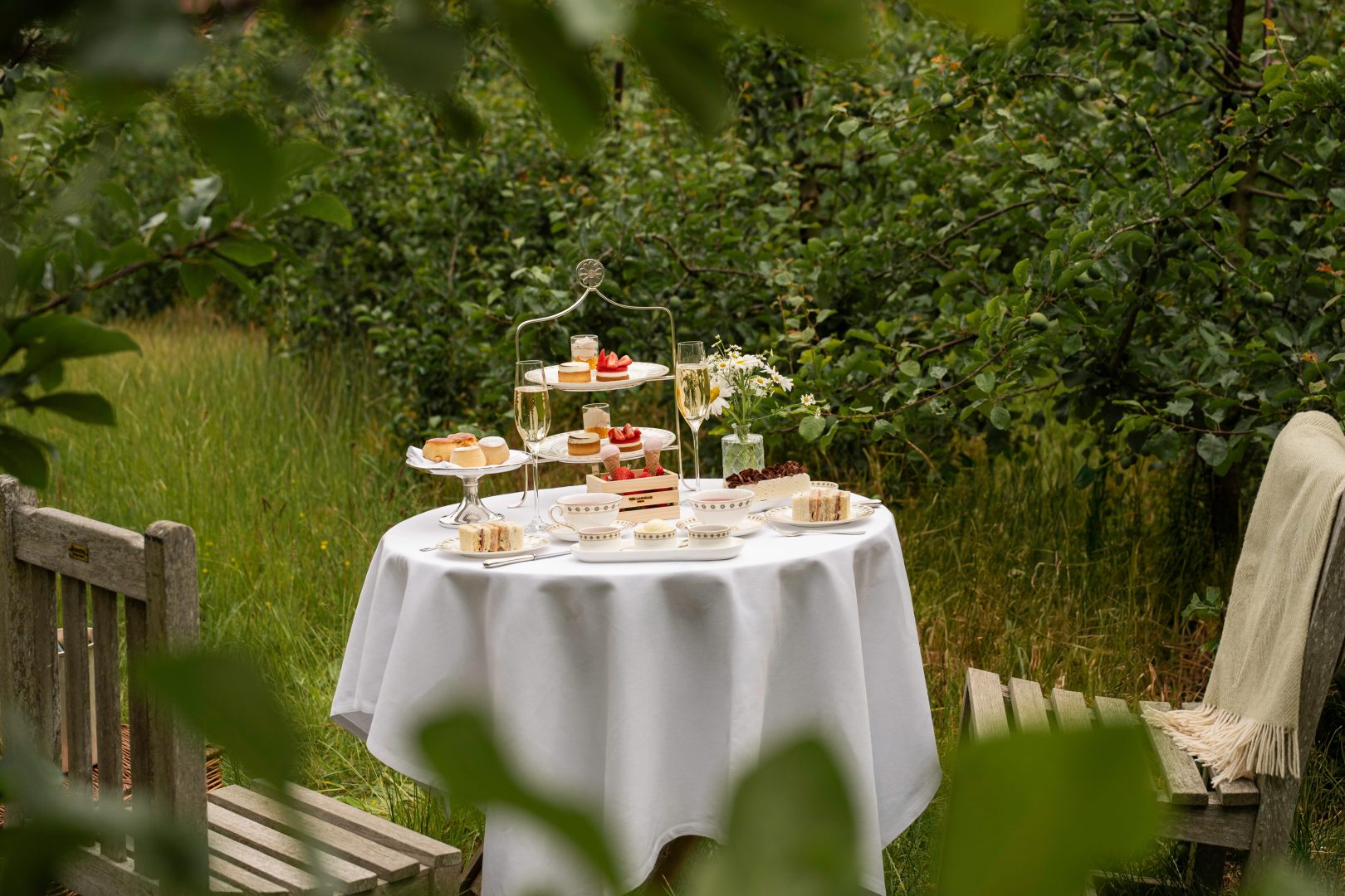 tllon_summer_afternoontea_3_2026