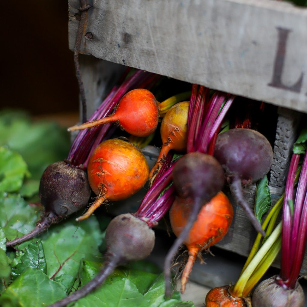 tllon_sauce_beetroot_2026