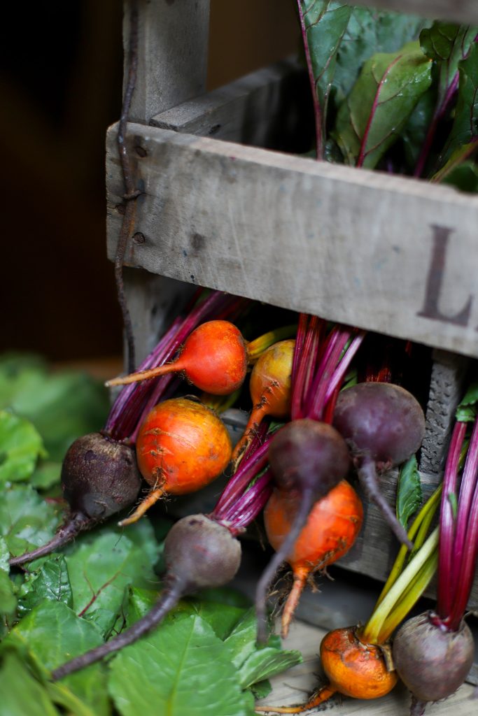 tllon_sauce_beetroot_2026